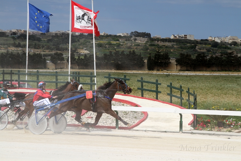 2015_Race 3 - 04.JPG
